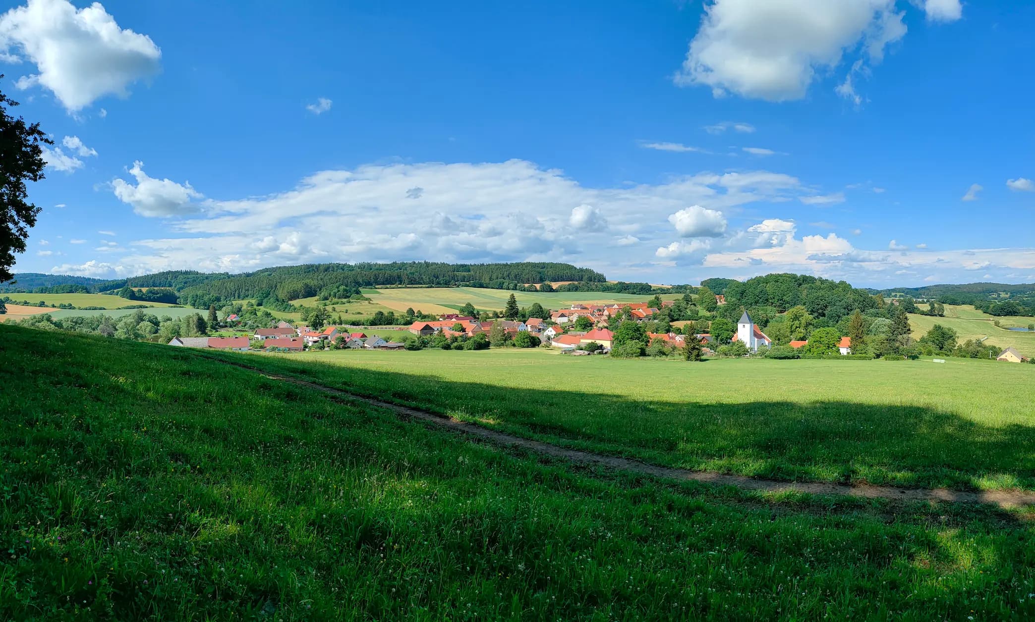 Piemonti z Pošumaví